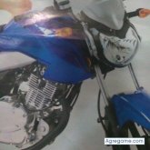 50618300 chico soltero en Nueva Santa Rosa