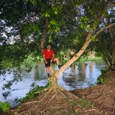 Delgadas
Cabello lacio.