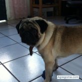 malonsoeg chico soltero en Tenosique