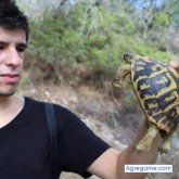 oliverdaniel chico soltero en Calvià