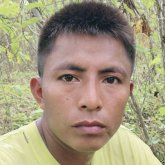 Joseedomico