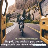 Adonayflores