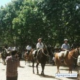 Chicas. Bueno. La vida.