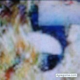 huzumflorin chico soltero en Alcanar