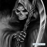 Ncgolden chico soltero en 