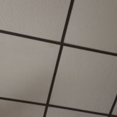 Fotografo. Busco pareja. Amistad y