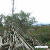 Sergioabarzua chico soltero en Santa Bárbara