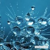 andresmambuca8000 foto #47