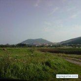 Genuino foto #20