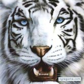 atadroca chico soltero en General Roca