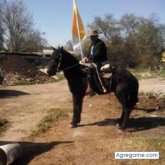Ver fotos más de juaneduardo6309