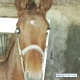 Idydiallo chico soltero en Berga