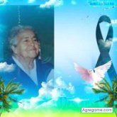 Ver fotos más de rauldedios