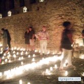ANGORO chico soltero en Jerez De La Frontera