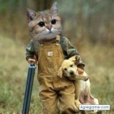 Chatear con elandaliego de Buda