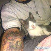 Ver fotos más de brianpratti