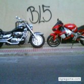 yulius foto #42