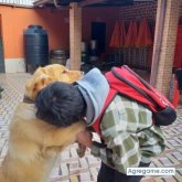 rodrigovelasco6615 chico soltero en La Paz