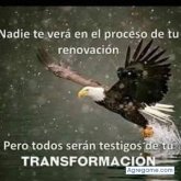 Chatear con walterrecinos de Acajutla