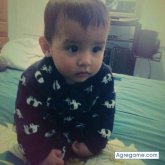 Fabri Flores