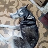 Foto de perfil de lucyotaco