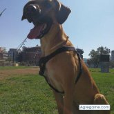 Travieso32Ismael chico soltero en Barcelona