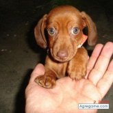 andresitooo chico soltero en Fanadix Moraira/teulada