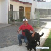 Dirk chico separado en Quilpué