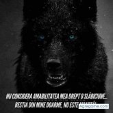 Nicolae_h chico soltero en Benavente