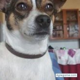 Ver fotos más de juanjuanito5151