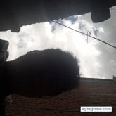 Foto de perfil de spectroll