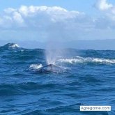 Flacojade chico soltero en Cabarete