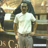 delfin800