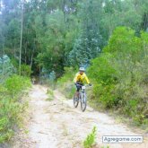 wilfansierra chico soltero en Weston