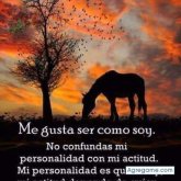 alfonsoelizondo chico soltero en La Chorrera