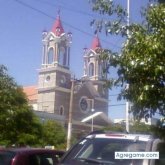 solosoysalvaje foto #27