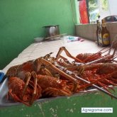 maro889 chico soltero en Villapinzón