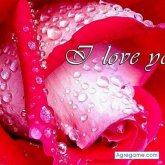 toreli chico soltero en Córdoba