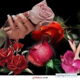 3LTIMIDO foto #12