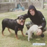 mathiascolman foto #15