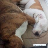 maikelnoa chico soltero en Valencia