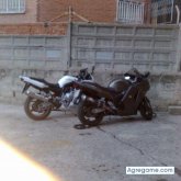 yulius foto #56