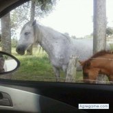 alberto883hd chico soltero en Móstoles