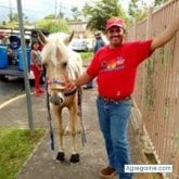 Foto de perfil de andrestorres8804