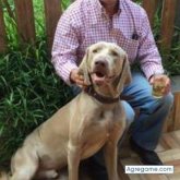 Oswaldo53 chico soltero en Trujillo