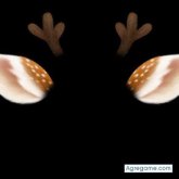 joseaortizp chico divorciado en Gualaceo