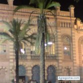 chemax chico soltero en Sevilla