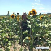 Jincha chica soltera en Dearborn