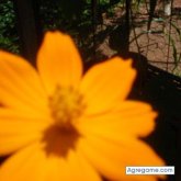 joaocarlossaraiva foto #13