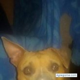 Ver fotos más de damianmartinez5862